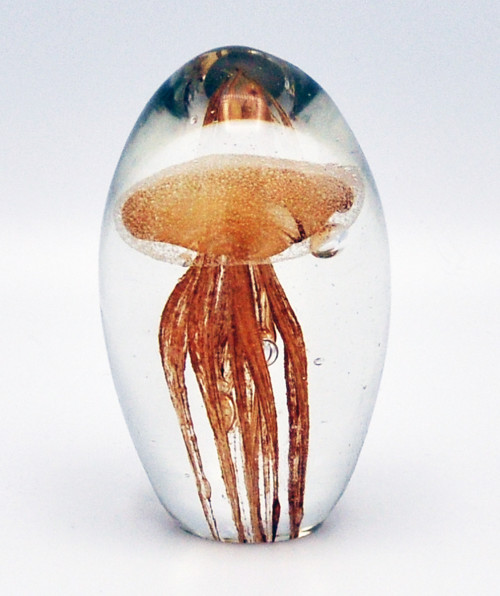 O4HOME + Jellyfish, amber XS